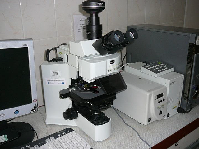 Mikroskop fluoroscencyjny